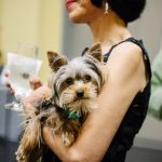 Amy Tan Image