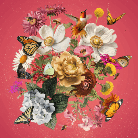 The SAL Gala: Words Bloom Image