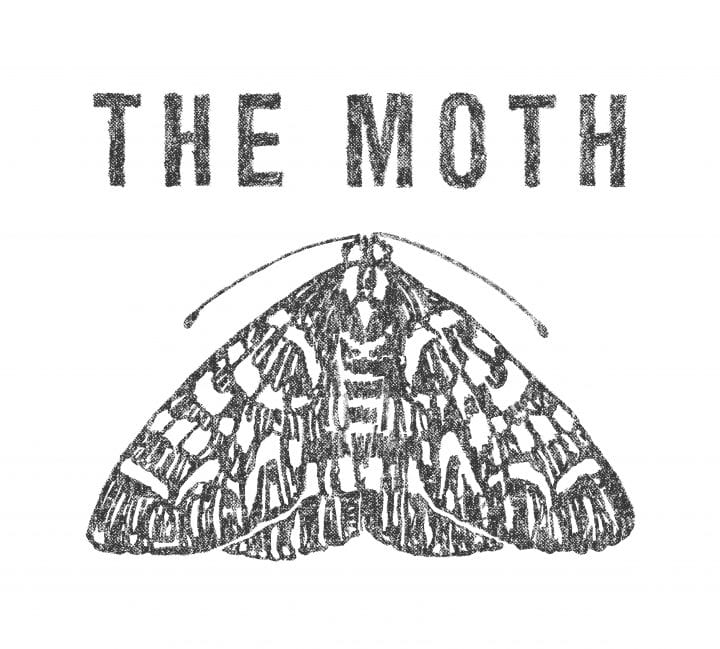 An image of The Moth's logo: a graphite-rubbed moth, wings out.